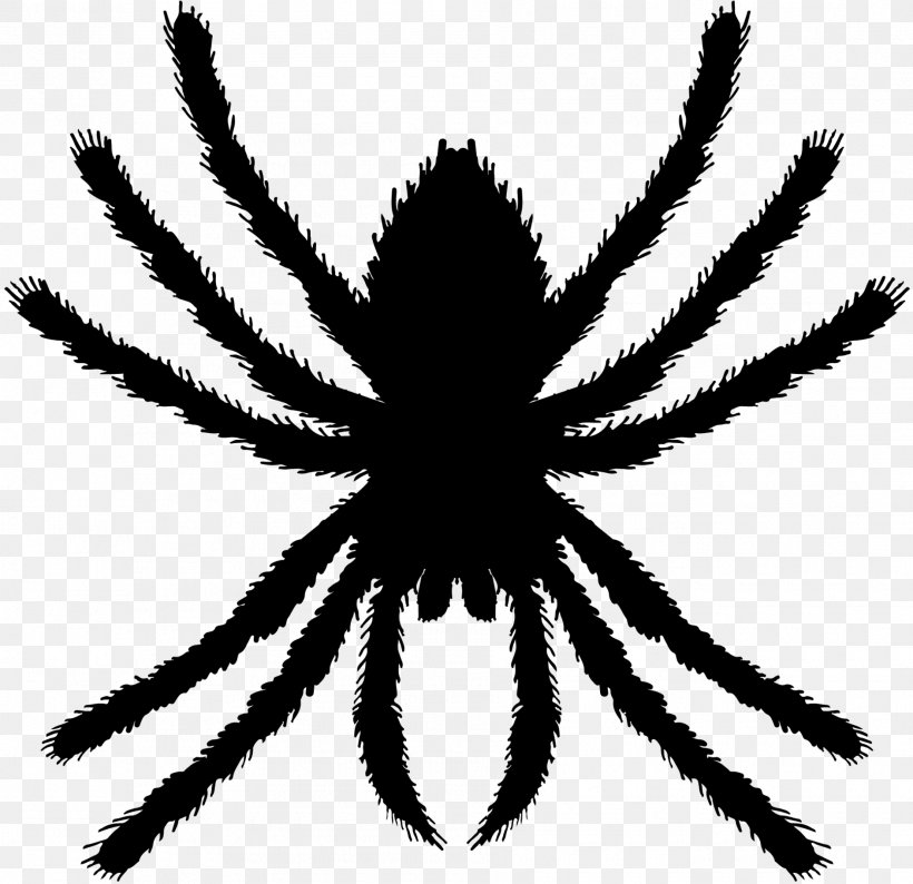 Spider Euclidean Vector Vector Graphics Illustration, PNG, 1885x1827px, Spider, Arachnid, Art, Arthropod, Brazilian Red And White Tarantula Download Free