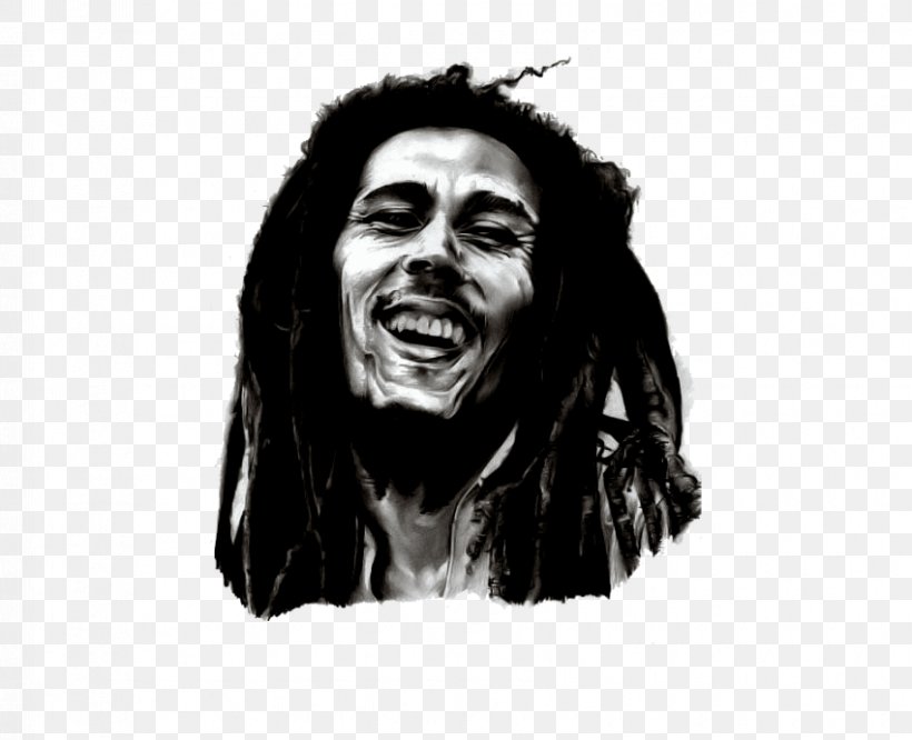 Bob Marley Museum Singer-songwriter Reggae Image, PNG, 850x691px, Watercolor, Cartoon, Flower, Frame, Heart Download Free