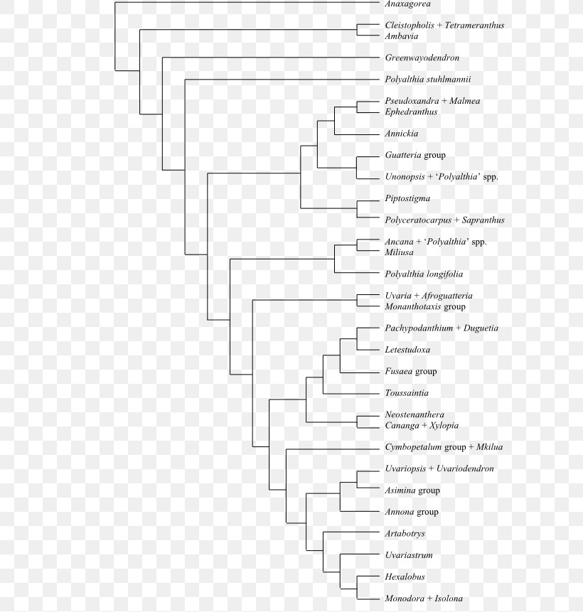 Bootstrapping Phenotypic Trait National Autonomous University Of Mexico Cladogram Phylogenetic Tree, PNG, 600x861px, Bootstrapping, Anatomy, Area, Biology, Black And White Download Free
