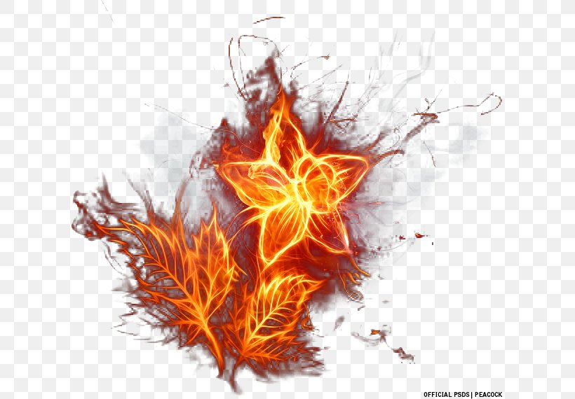Flame Fire Flower Desktop Wallpaper, PNG, 617x570px, Flame, Color, Fire, Flower, Glog Download Free
