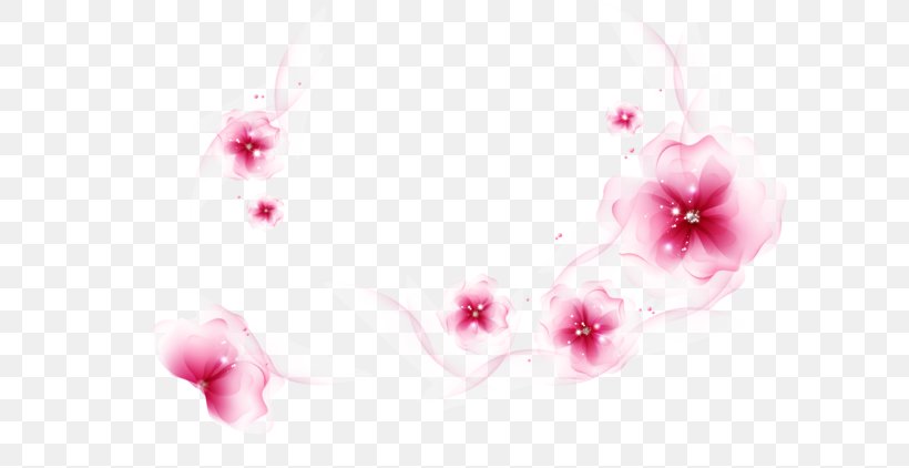 Flower Desktop Wallpaper Image Photograph, PNG, 600x422px, Flower, Blossom, Cherry Blossom, Close Up, Computer Download Free