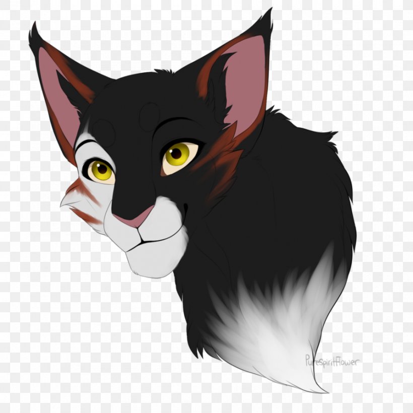Kitten Whiskers Warriors Cat Drawing, PNG, 894x894px, Kitten, Art, Black Cat, Carnivoran, Cat Download Free