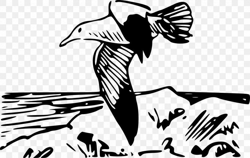 Bird Gulls European Herring Gull Flight Crows, PNG, 2400x1520px, Bird, Art, Artwork, Bird Flight, Black Download Free