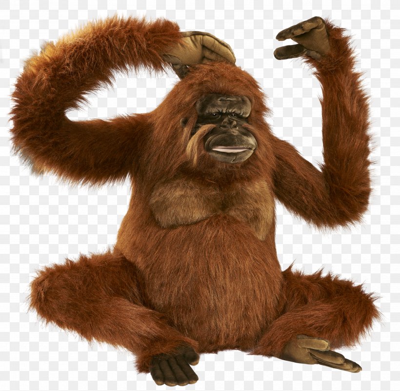 Gorilla Bornean Orangutan Icon, PNG, 4765x4656px, Gorilla, Animal, Ape, Arboreal Locomotion, Bornean Orangutan Download Free