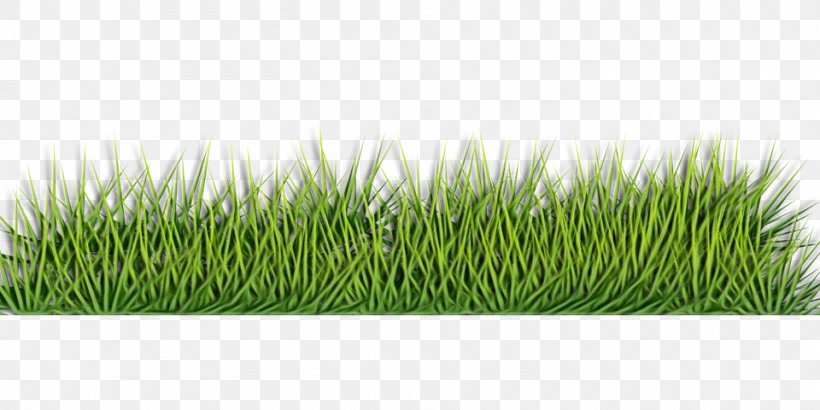 Green Grass Background, PNG, 960x480px, Wheatgrass, Artificial Turf, Commodity, Fodder, Grass Download Free