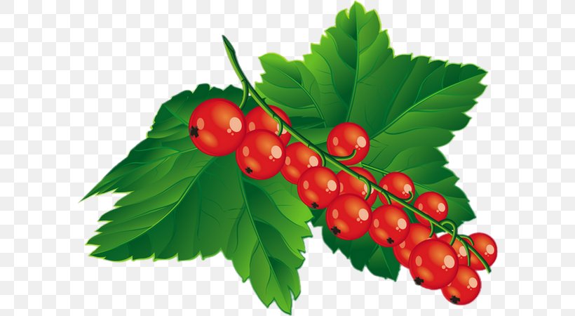 Blueberry Raspberry Clip Art, PNG, 600x450px, Berry, Blackberry, Blueberry, Cherry, Currant Download Free