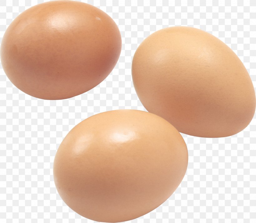 Chicken Egg Roll Egg Foo Young Egg White, PNG, 1446x1260px, Belarus, Artikel, Catalog, Chicken, Chicken Egg Download Free