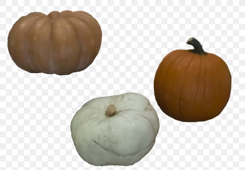 Pumpkin Calabaza Winter Squash Gourd, PNG, 1024x711px, Pumpkin, Calabaza, Cucurbita, Gourd, Squash Download Free