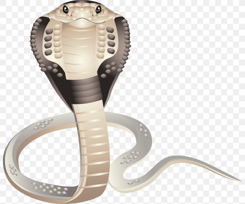 Snake Clip Art, PNG, 800x685px, Snake, Cobra, Computer, King Cobra, Reptile Download Free