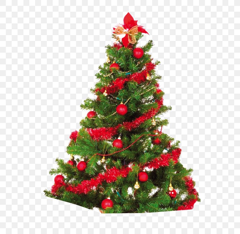 Artificial Christmas Tree Christmas Ornament, PNG, 800x800px, Christmas, Artificial Christmas Tree, Christmas Card, Christmas Decoration, Christmas Ornament Download Free