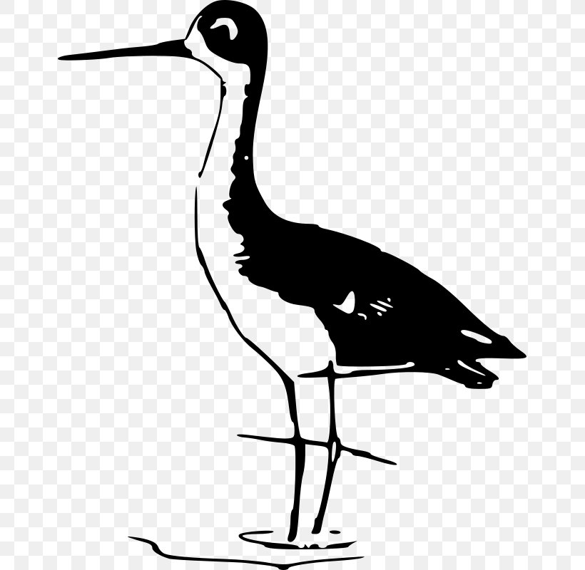 Bird Eurasian Magpie Stilt Clip Art, PNG, 657x800px, Bird, Anhinga, Beak, Bird Flight, Black And White Download Free