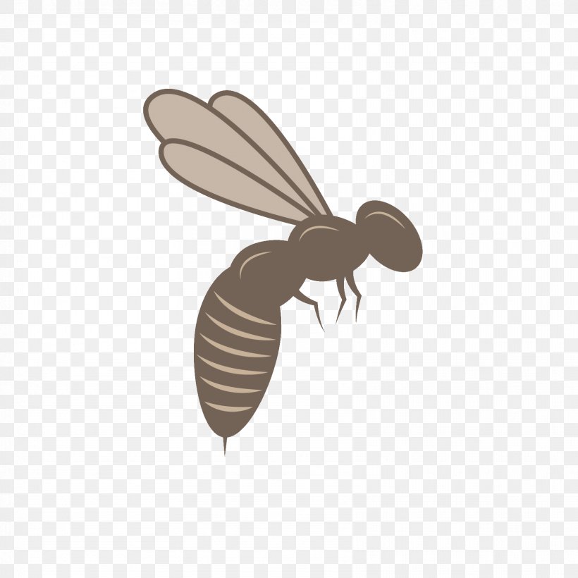Honey Bee Beehive Mānuka Honey, PNG, 1667x1667px, Honey Bee, Arthropod, Bee, Beehive, Beekeeping Download Free