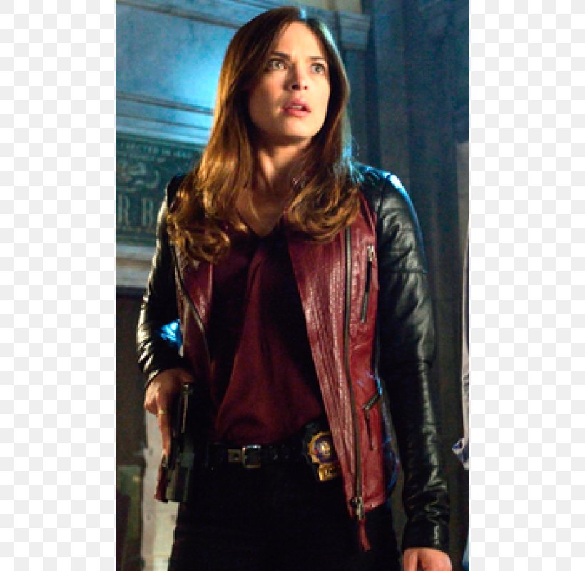 Kristin Kreuk Beauty & The Beast Catherine Chandler Beauty And The Beast, PNG, 800x800px, Kristin Kreuk, Beauty And The Beast, Beauty And The Beast Season 2, Beauty The Beast, Catherine Chandler Download Free