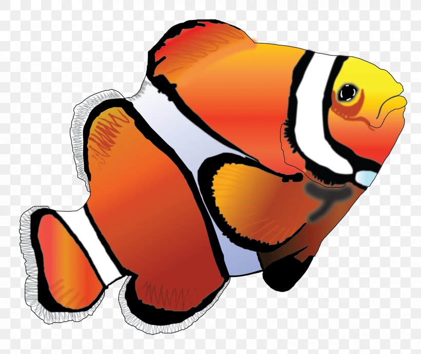 Music Cartoon, PNG, 1920x1615px, 17 Tropical Fish, Ocellaris Clownfish, Anemone Fish, Anemonefishes, Aquarium Download Free