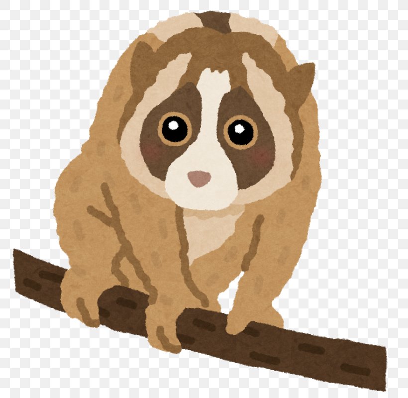 Pygmy Slow Loris いらすとや Monkey Sanon Tou Organism, PNG, 800x800px, Pygmy Slow Loris, Animal, Big Cats, Carnivora, Carnivoran Download Free