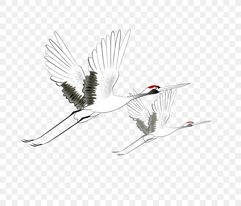 Red-crowned Crane, PNG, 700x700px, Crane, Art, Beak, Bird, Black And White Download Free