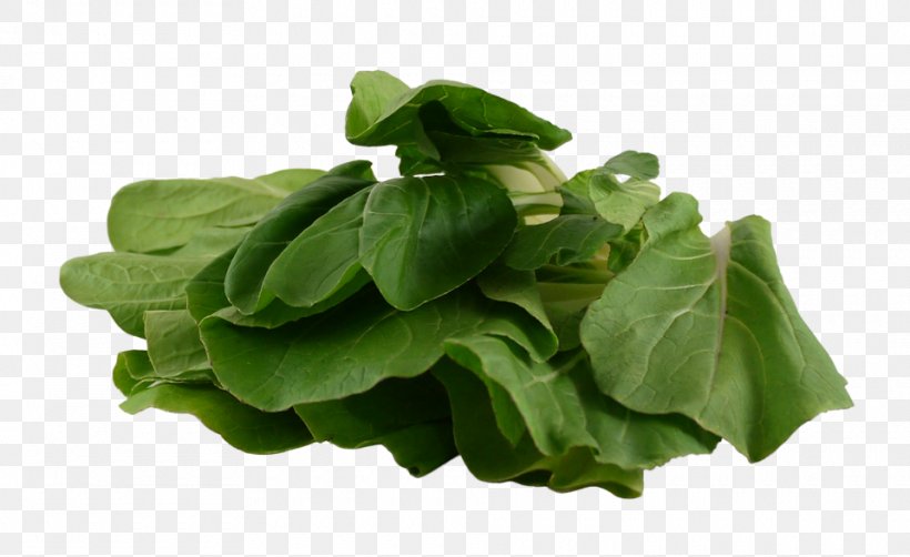Spinach Vegetarian Cuisine Leaf Vegetable Chard, PNG, 960x588px, Spinach, Basil, Chard, Choy Sum, Collard Greens Download Free