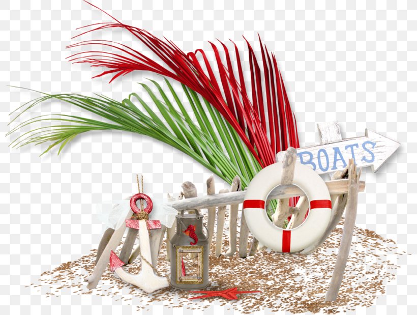 Beach Watercraft, PNG, 800x619px, Beach, Anchor, Blog, Centerblog, Christmas Download Free