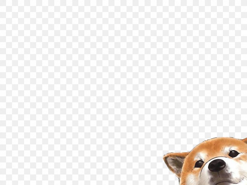 Pembroke Welsh Corgi Puppy Dog Breed Companion Dog Desktop Wallpaper, PNG, 1024x768px, Pembroke Welsh Corgi, Breed, Carnivoran, Companion Dog, Computer Monitors Download Free