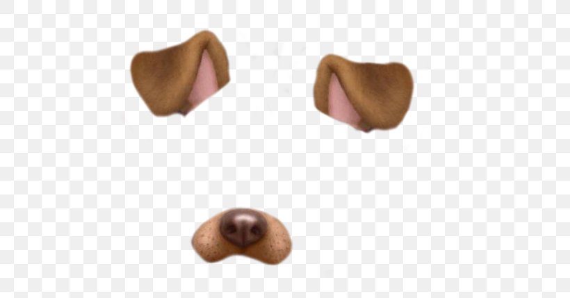 Dog Photographic Filter Standard Test Image, PNG, 480x429px, Dog, Copying, Ear, Editing, Nose Download Free