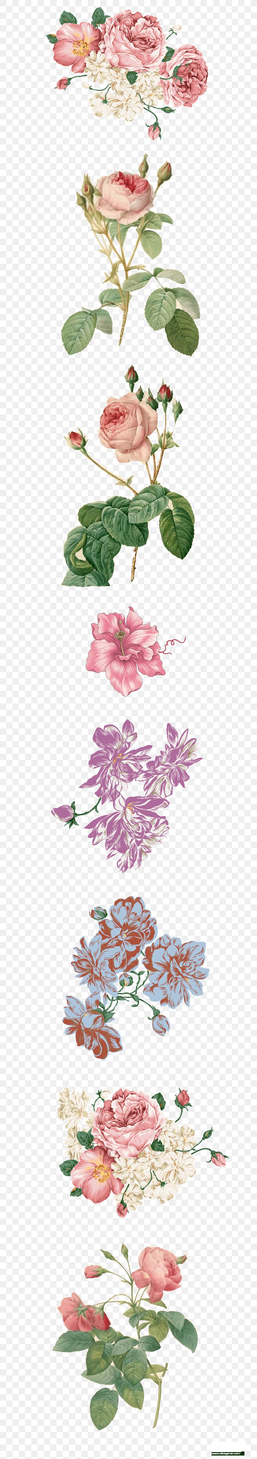 Moutan Peony Design Painting Wall Flower, PNG, 750x4646px, Moutan Peony, Art, Flora, Floral Design, Flower Download Free
