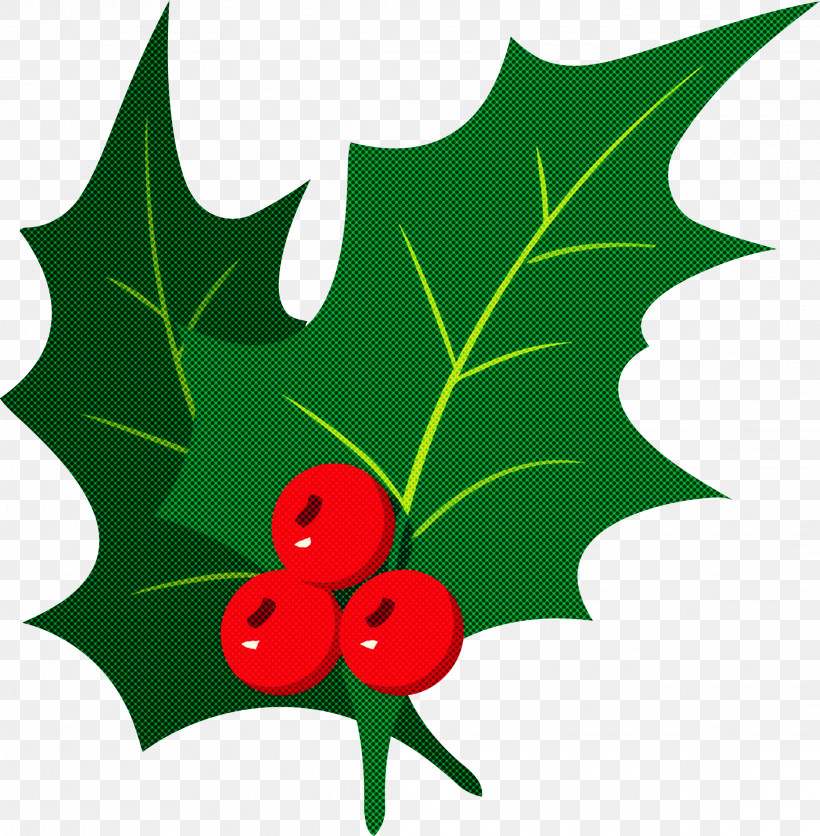 Christmas Ornament Merry Christmas Christmas Decoration, PNG, 2231x2277px, Christmas Ornament, American Holly, Christmas Decoration, Currant, Flower Download Free