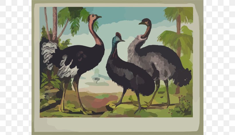 Common Ostrich Bird Canvas Print Oil Painting Clip Art, PNG, 600x471px, Common Ostrich, Art, Artist, Beak, Bird Download Free