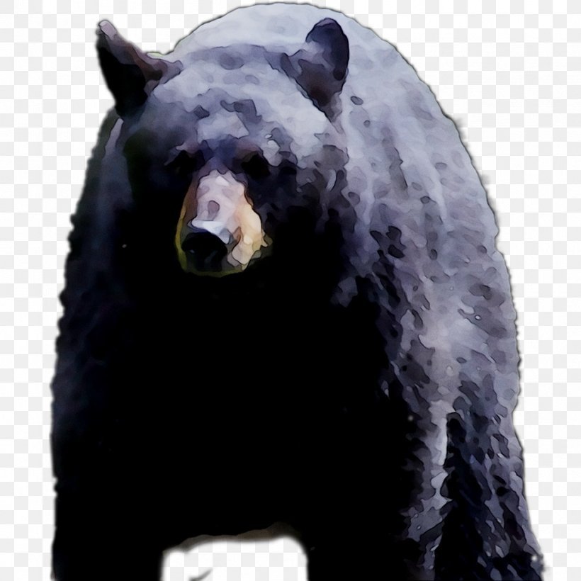 Grizzly Bear American Black Bear Fur Terrestrial Animal, PNG, 1008x1008px, Grizzly Bear, American Black Bear, Animal, Animal Figure, Bear Download Free