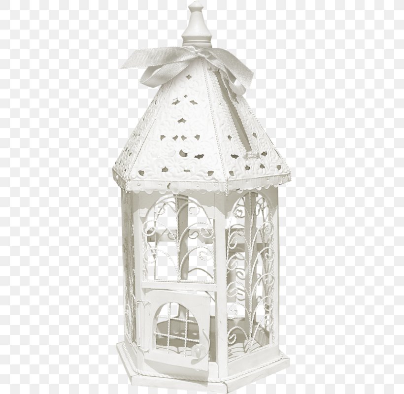 Lantern Blog 2403 (عدد) 2404 (عدد) Clip Art, PNG, 365x800px, Lantern, Bird, Blog, Flower, Garden Roses Download Free