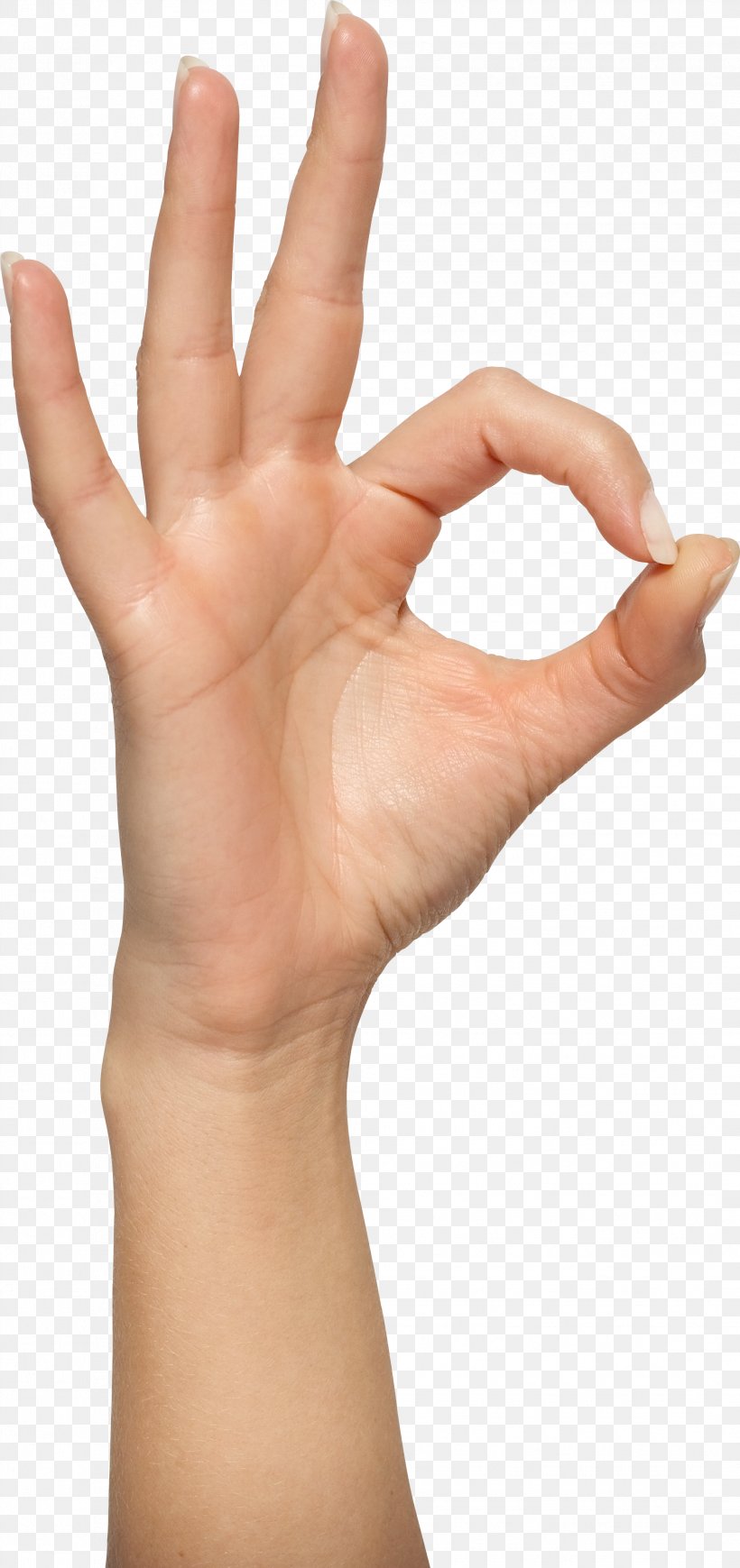 OK Gesture Hand, PNG, 2087x4427px, Hand, Arm, Close Up, Finger, Gesture Download Free