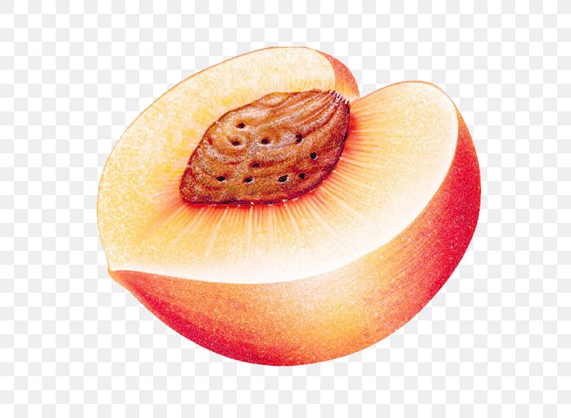 Peach Auglis Download Computer File, PNG, 600x600px, Peach, Auglis, Food, Fruit, Gratis Download Free