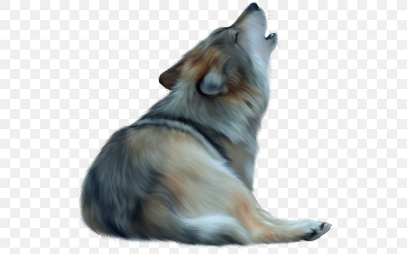 Puppy Papillon Dog Rough Collie Snout Clip Art, PNG, 524x513px, Puppy, Animal, Aullido, Canidae, Carnivoran Download Free