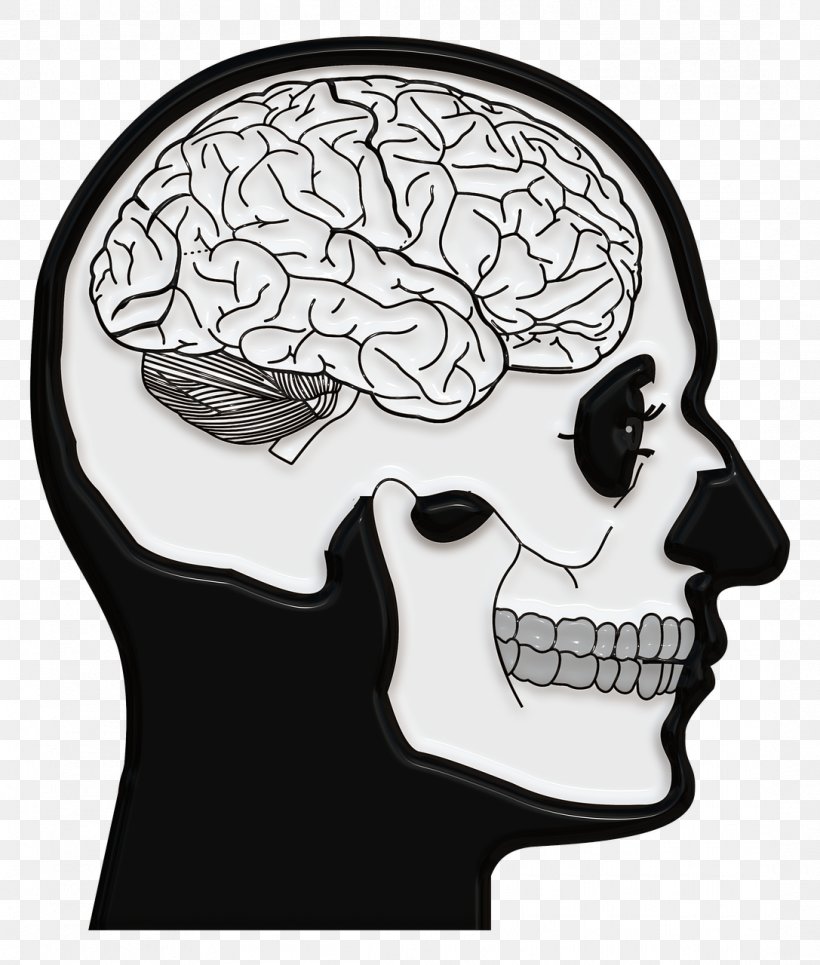 Brain Skull And Crossbones N-back Neuroscience, PNG, 1087x1280px, Watercolor, Cartoon, Flower, Frame, Heart Download Free