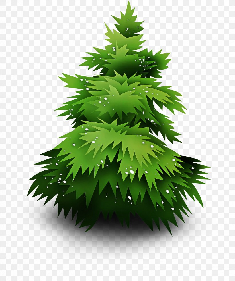 Christmas Tree, PNG, 2472x2950px, Tree, American Larch, Christmas Tree, Grass, Green Download Free