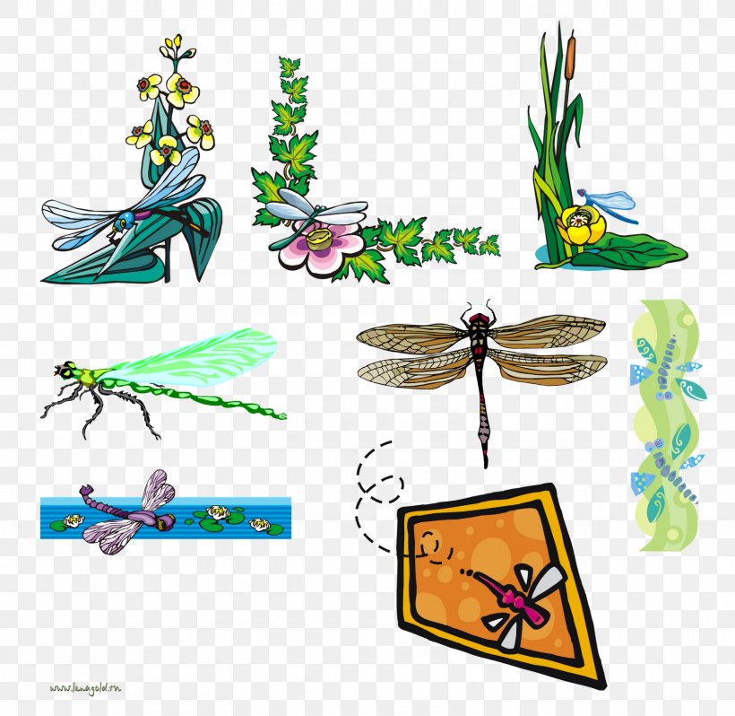 Clip Art Image Dragonfly JPEG, PNG, 1600x1559px, Dragonfly, Animal Figure, Bitxi, Body Jewellery, Body Jewelry Download Free
