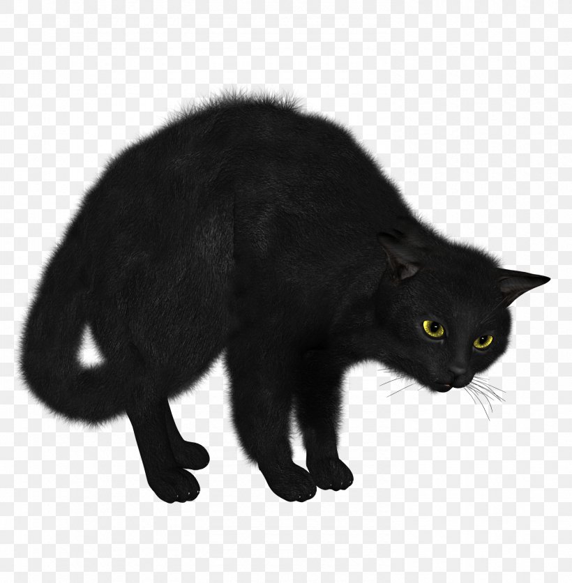 Kitten Sphynx Cat Black Cat Clip Art, PNG, 1490x1520px, Kitten, Black, Black Cat, Bombay, Carnivoran Download Free