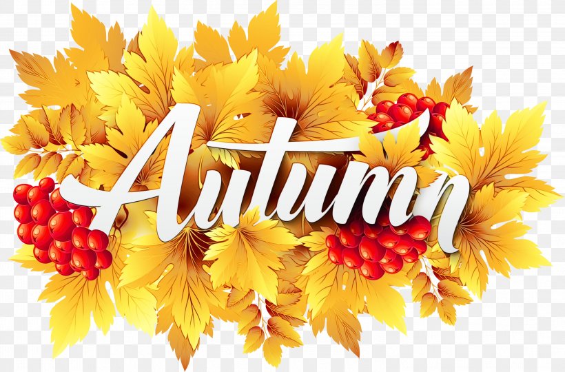 Autumn Festival, PNG, 2999x1977px, Autumn, Clip Art For Autumn, Flower, Leaf, Midautumn Festival Download Free