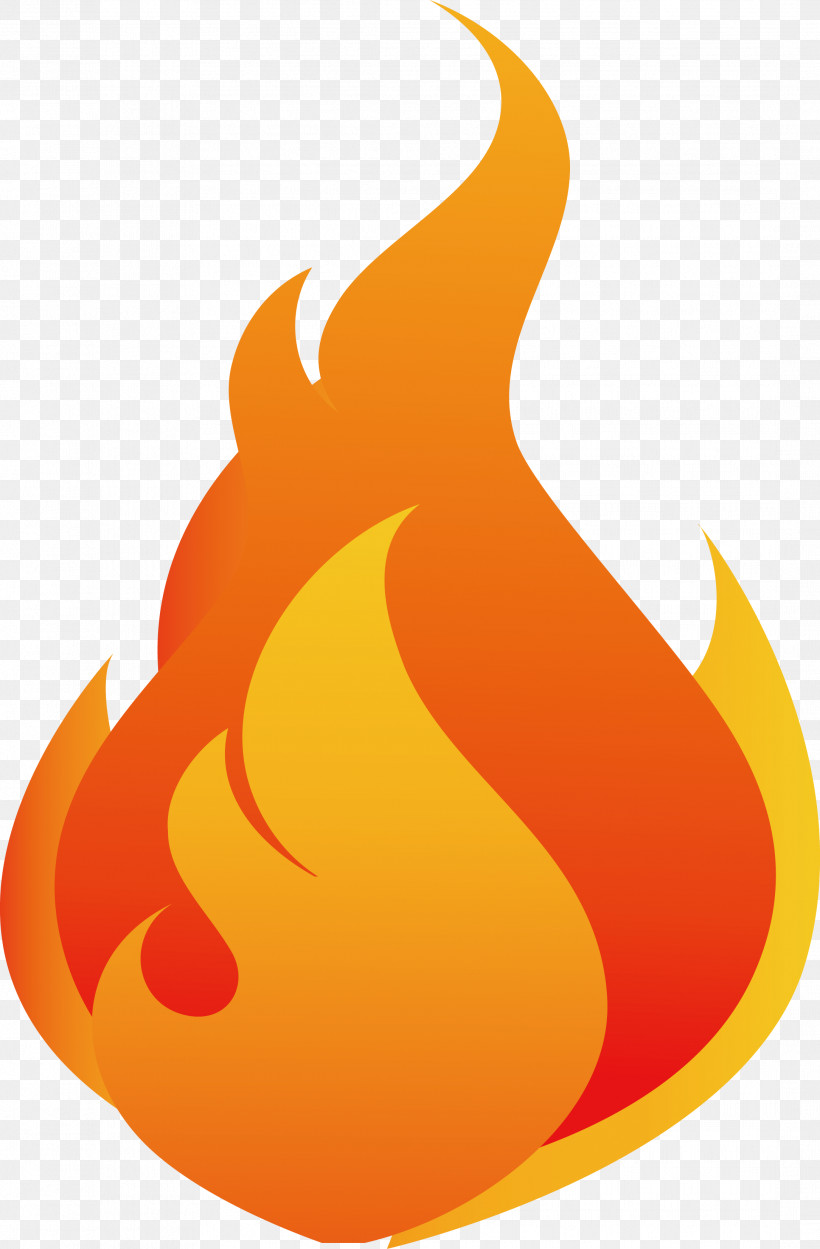 Flame Fire, PNG, 2168x3303px, Flame, Business, Coastal Forensics Investigation, Fire, Institution Download Free