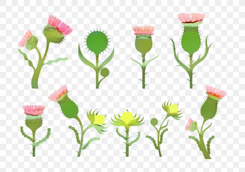 Flowers Background, PNG, 1399x980px, Thistle, Cut Flowers, Drawing, Flower, Logo Download Free