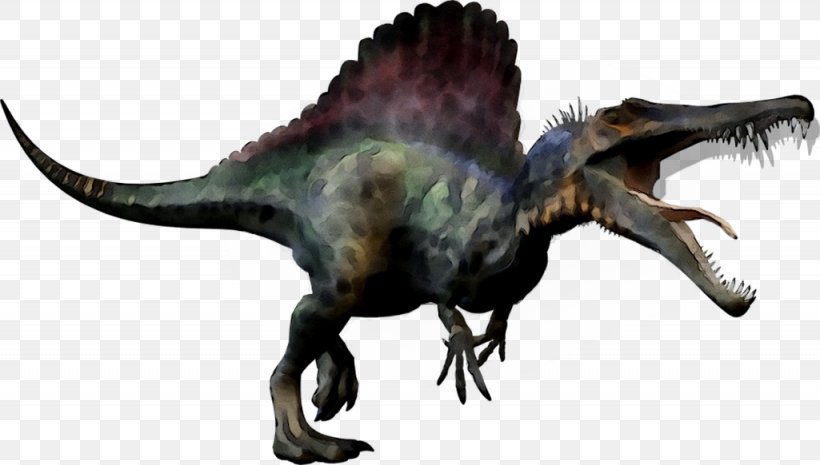 Spinosaurus Tyrannosaurus Carcharodontosaurus Giganotosaurus Dinosaur Size, PNG, 1025x582px, Spinosaurus, Animal Figure, Animation, Carcharodontosaurus, Carnotaurus Download Free