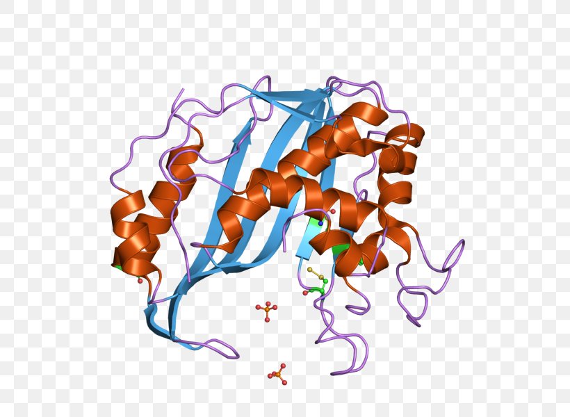 Thymidylate Synthase Thymidine Monophosphate Catalysis Deoxyuridine Monophosphate, PNG, 800x600px, Thymidylate Synthase, Art, Catalysis, Chemistry, Deoxyuridine Monophosphate Download Free