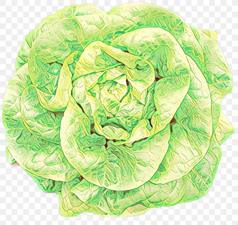 Cabbage Leaf Vegetable Lettuce Iceburg Lettuce Flower, PNG, 1024x968px, Cartoon, Cabbage, Cruciferous Vegetables, Flower, Iceburg Lettuce Download Free