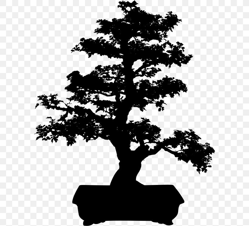 Creating Bonsai T-shirt Tree Clip Art, PNG, 596x743px, Bonsai, Black And White, Branch, Creating Bonsai, Houseplant Download Free