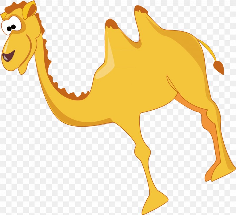 Dromedary Yellow Clip Art, PNG, 1916x1746px, Dromedary, Arabian Camel, Camel, Camel Like Mammal, Carnivoran Download Free