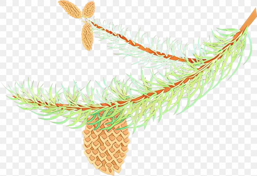 Feather, PNG, 1091x750px, Cartoon, Branch, Colorado Spruce, Feather, Fir Download Free