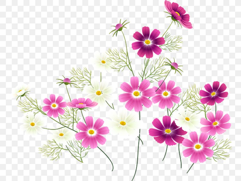 Flower Computer Software, PNG, 760x618px, Flower, Annual Plant, Archive File, Computer Software, Cosmos Download Free