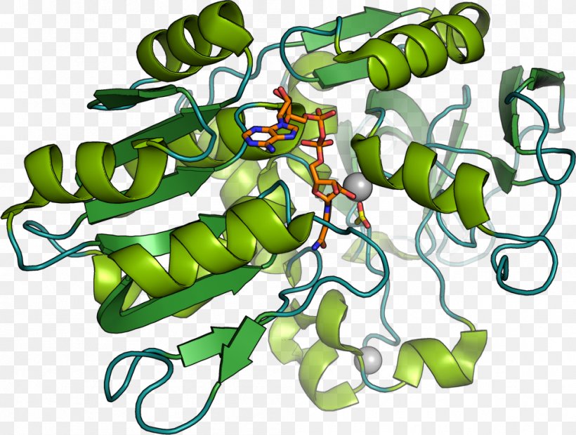 Biocatalysis Enzyme Chemistry Microorganism, PNG, 998x754px, Biocatalysis, Catalysis, Chemical Reaction, Chemistry, Enzyme Download Free