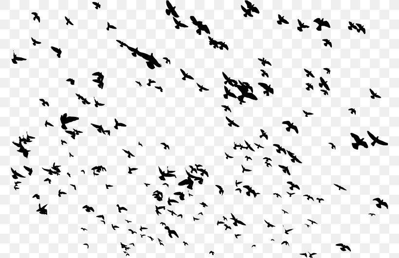 Bird Flight Pigeons And Doves Flock Goose, PNG, 776x530px, Bird, Animal Migration, Bird Flight, Bird Migration, Blackandwhite Download Free