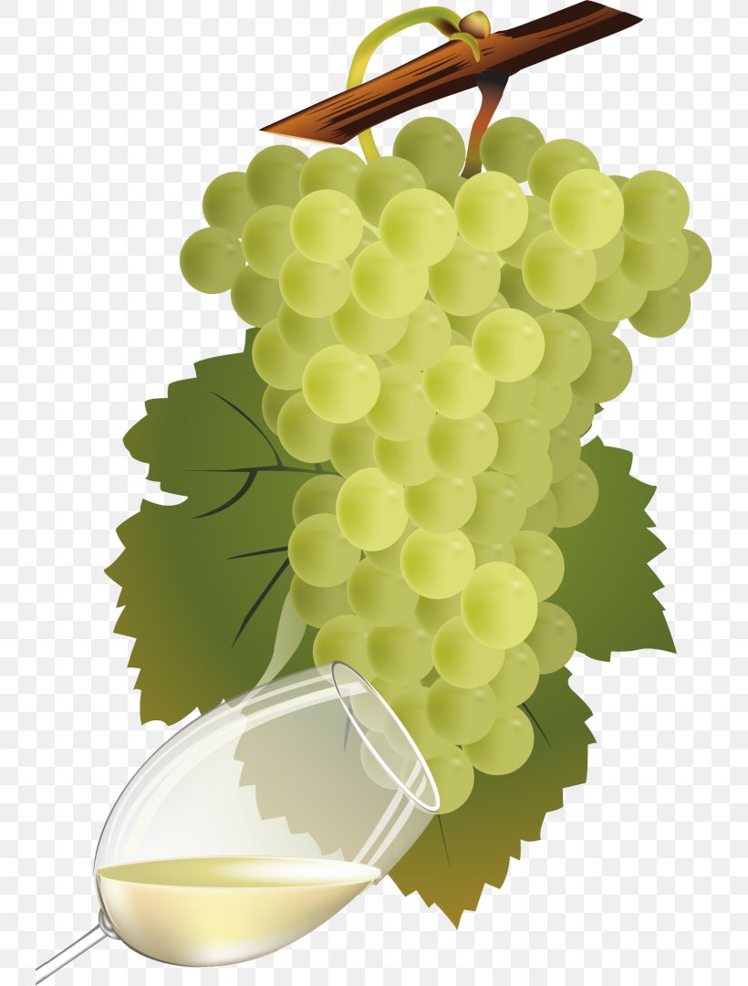 Common Grape Vine Wine Vinho Verde, PNG, 742x1080px, Common Grape Vine, Food, Fruit, Fruit Wine, Grape Download Free