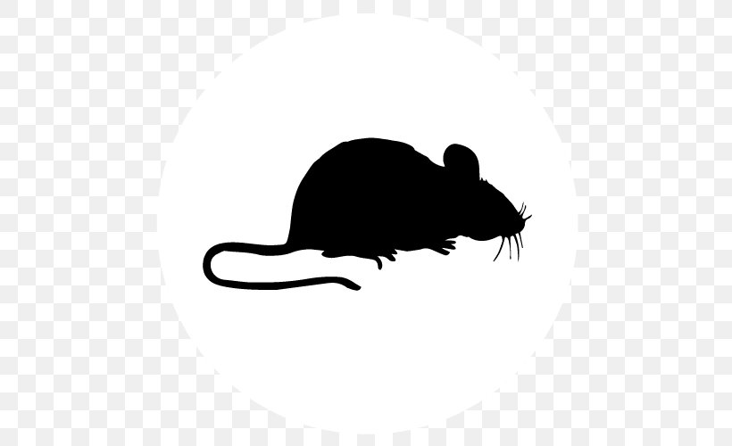 Computer Mouse Rat Decal Mouse Mats, PNG, 500x500px, Computer Mouse, Black, Black And White, Car, Carnivoran Download Free